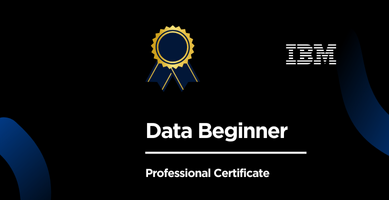 Data Beginner